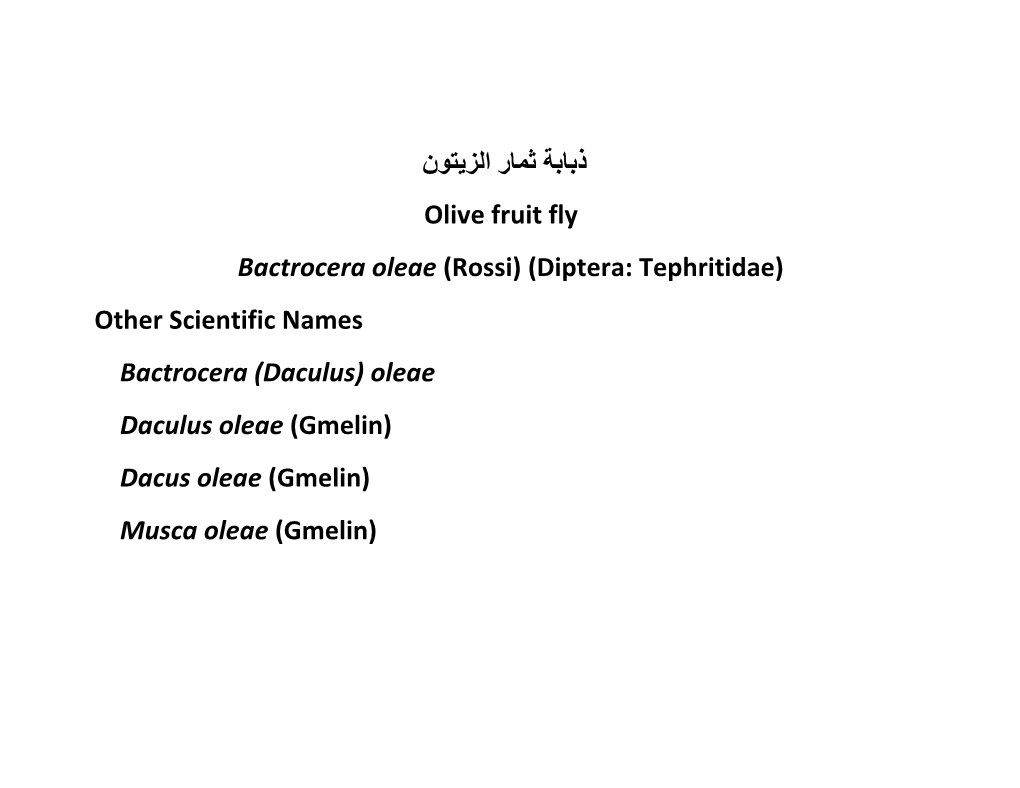 ذﺑﺎﺑﺔ ﺛﻣﺎر اﻟزﯾﺗون Olive Fruit Fly Bactrocera Oleae (Rossi) (Diptera: Tephritidae