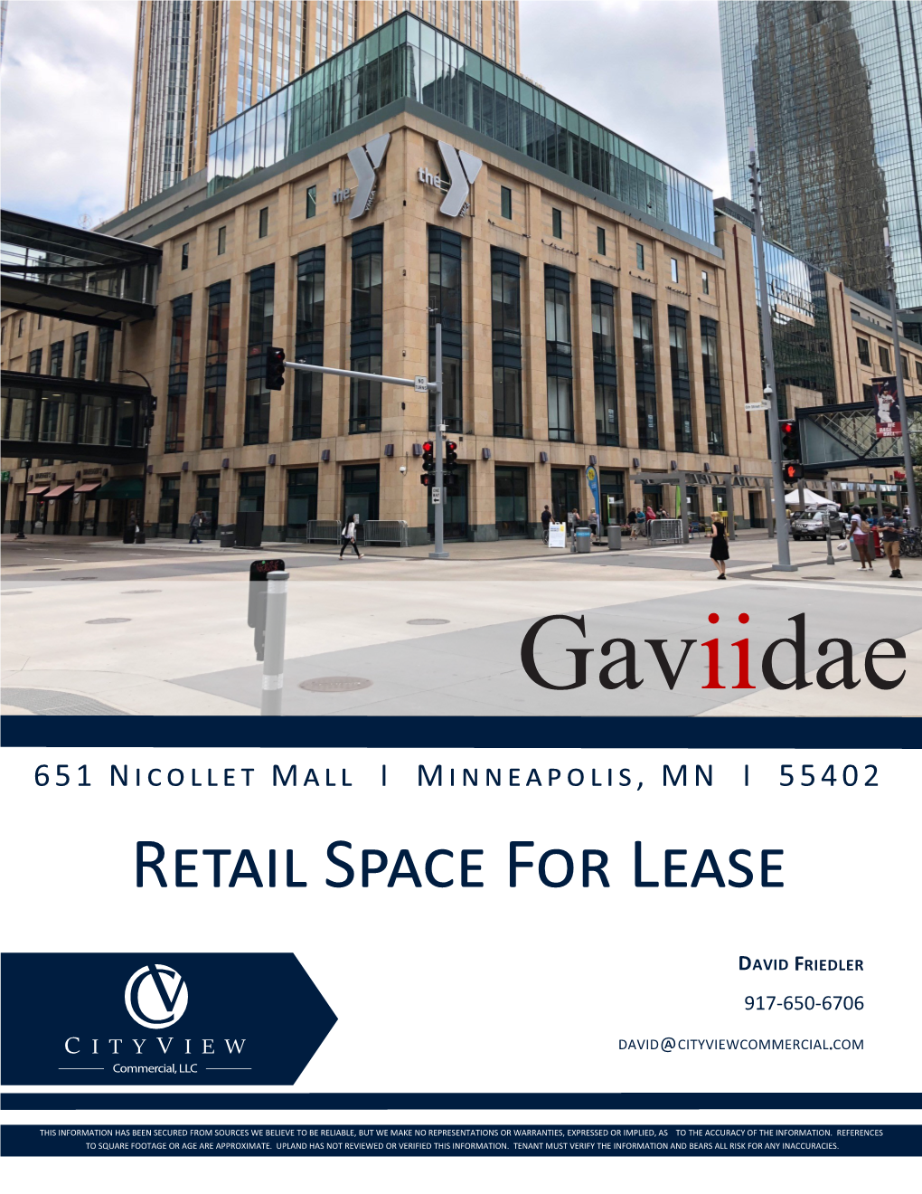 Gaviidae Brochure