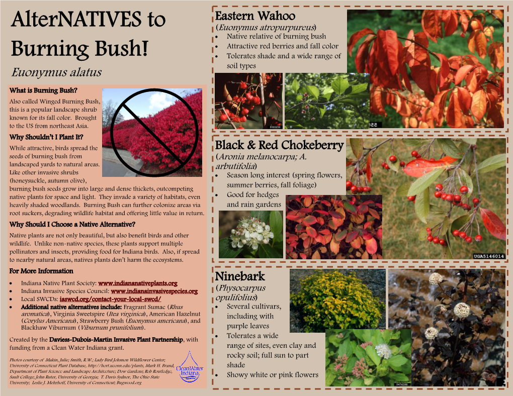 Alternatives to Burning Bush