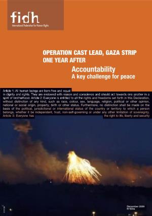 Israel & OPT / Operation Cast Lead, One Year After: Accountability, A