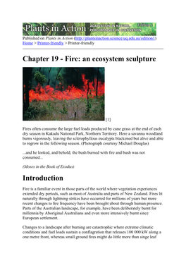 Chapter 19 - Fire: an Ecosystem Sculpture