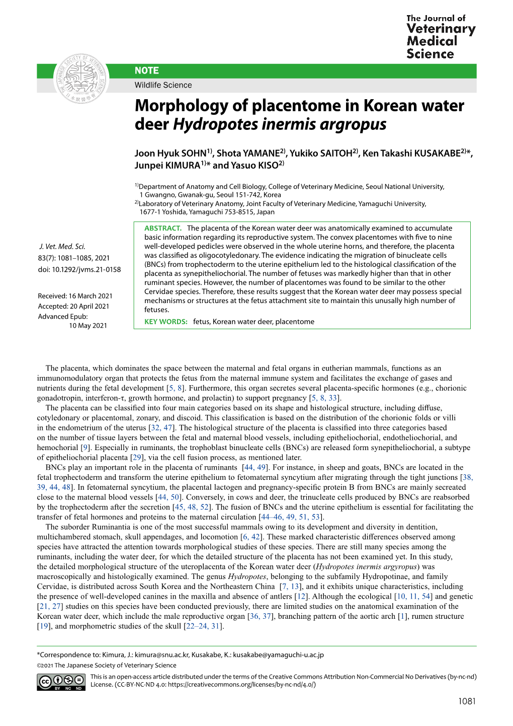 Morphology of Placentome in Korean Water Deer Hydropotes Inermis Argropus