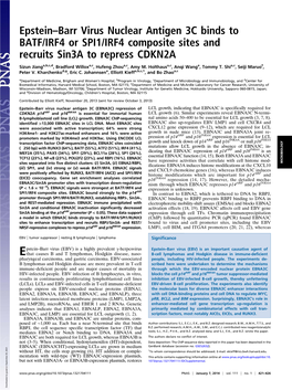 Epstein–Barr Virus Nuclear Antigen 3C Binds to BATF/IRF4 Or SPI1/IRF4 Composite Sites and Recruits Sin3a to Repress CDKN2A