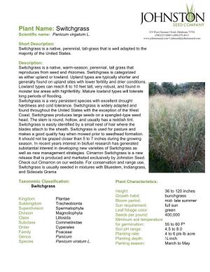 Plant Name: Switchgrass Scientific Name: Panicum Virgatum L