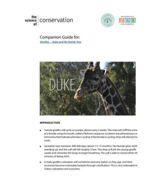 Companion Guide For: Glassgiraffes… Dukeblowing and His Family Tree Natural History Glass Blowing