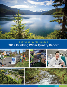 2019 Drinking Water Quality Report Portland’S Water System Established 1895