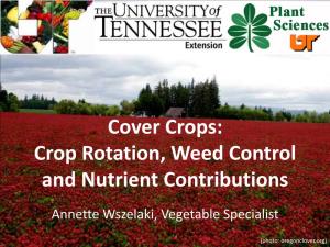 Cover Crops: Crop Rotation, Weed Control and Nutrient Contributions