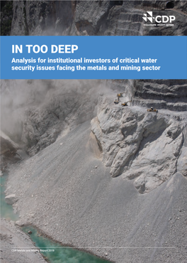 IN TOO DEEP Analysis for Institutional Investors of Critical Water Security Issues Facing the Metals and Mining Sector