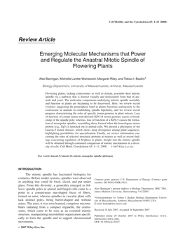 Emerging Molecular Mechanisms That Power and Regulate the Anastral Mitotic Spindle of Flowering Plants