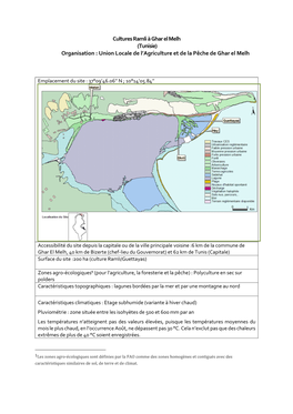 Cultures Ramli À Ghar El Melh (Tunisie) Organisation : Union Locale De L’Agriculture Et De La Pêche De Ghar El Melh