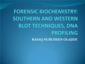 Southern and Western Blot Techniques, Dna Profiling