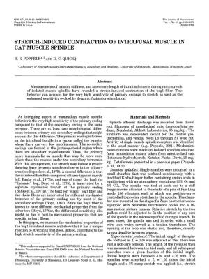Stretch-Induced Contraction of Intrafusal Muscle in Cat Muscle Spindle1