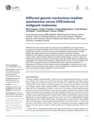 Different Genetic Mechanisms Mediate Spontaneous Versus UVR-Induced