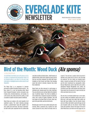 Bird of the Month: Wood Duck (Aix Sponsa) by Clive & Celecia Pinnock the 2020 Bird of the Month Series Will Continue to Focus and Sides by White and Black Stripes