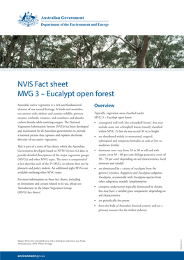 Eucalypt Open Forest