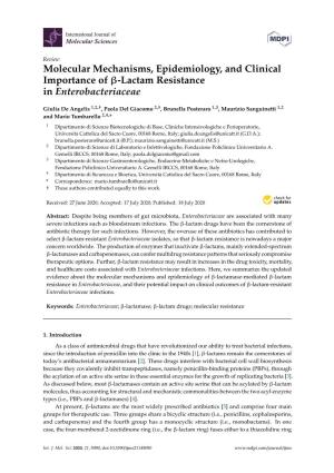Molecular Mechanisms, Epidemiology, and Clinical Importance of Β-Lactam Resistance in Enterobacteriaceae
