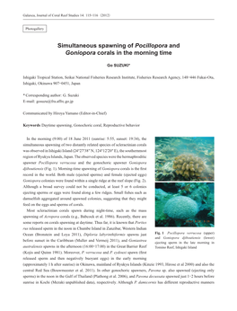 Simultaneous Spawning of Pocillopora and Goniopora Corals in the Morning Time