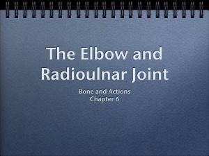 The Elbow and Radioulnar Joint Bone and Actions Chapter 6 Terminology