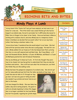 Mindy Plays a Lamb BICHONS BITS and BYTES