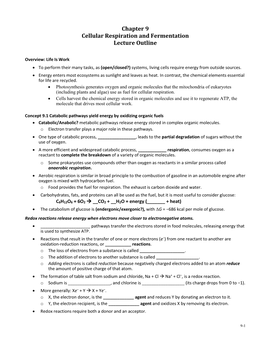 Chapter 9 Cellular Respiration and Fermentation Lecture Outline