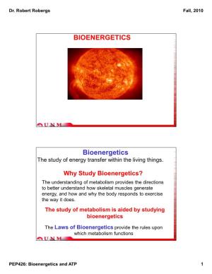 BIOENERGETICS Bioenergetics