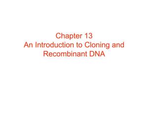 Chapter 13 an Introduction to Cloning and Recombinant DNA Clones