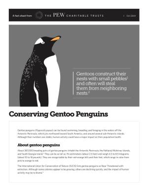Conserving Gentoo Penguins Fact Sheet