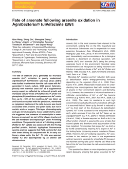 Fate of Arsenate Following Arsenite Oxidation in Agrobacterium Tumefaciens GW4