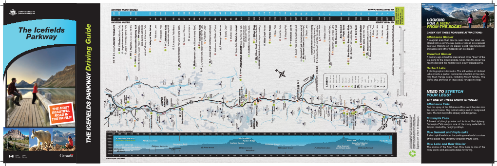 The Icefields Parkway Driving Guide