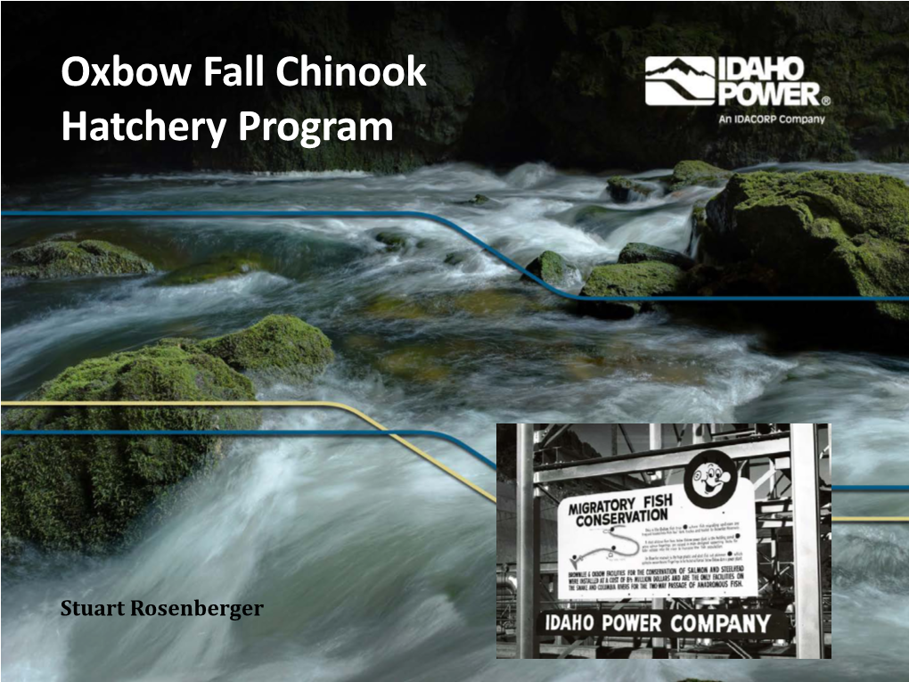 Oxbow Fall Chinook Hatchery Program