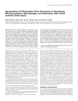 Upregulation of Pleiotrophin Gene Expression in Developing Microvasculature, Macrophages, and Astrocytes After Acute Ischemic Brain Injury