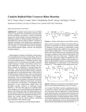 Catalytic Radical-Polar Crossover Ritter Reaction Eric E