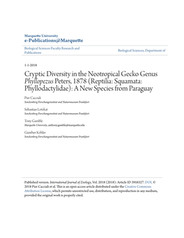 Cryptic Diversity in the Neotropical Gecko Genus Phyllopezus Peters