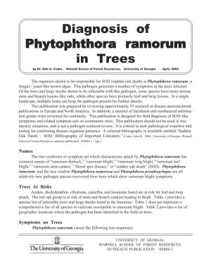 Diagnosis of Phytophthora Ramorum in Trees