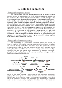 The Tryptophan Biosynthetic Pathway Trp Biosynthesis Is a Biologically Expensive, Complicated Process