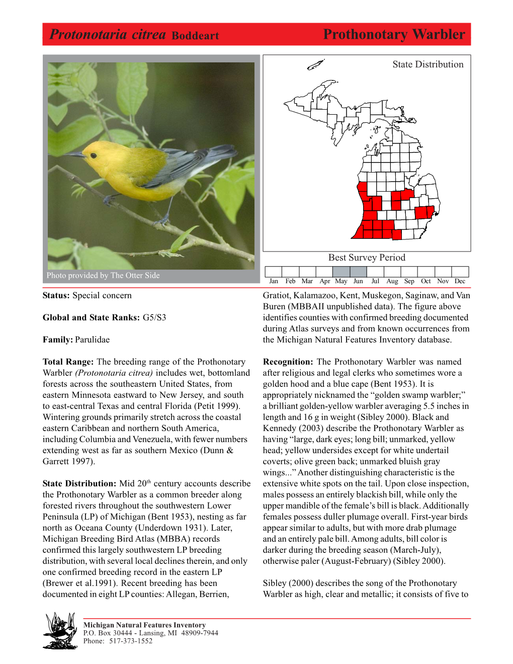 Protonotaria Citrea Boddeart Prothonotaryprothonotary Warbler Warbler, Page 1