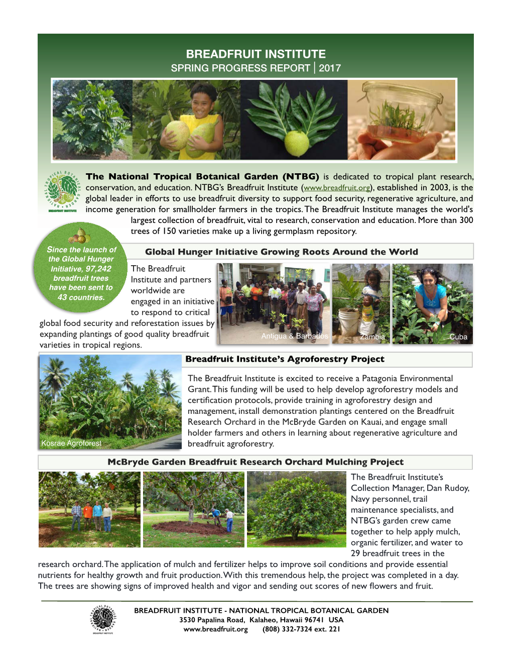 Breadfruit Institute Spring Progress Report 2017