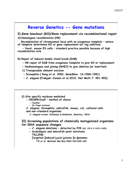 Reverse Genetics -- Gene Mutations