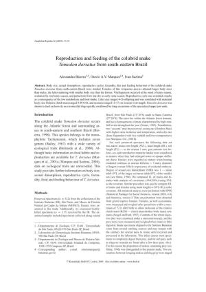 Reproduction and Feeding of the Colubrid Snake Tomodon Dorsatus from South-Eastern Brazil