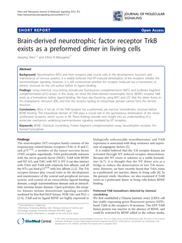 Brain-Derived Neurotrophic Factor Receptor Trkb Exists As a Preformed Dimer in Living Cells Jianying Shen1,2 and Ichiro N Maruyama1*