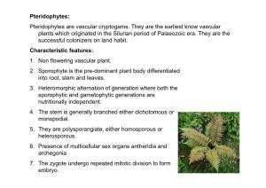 Pteridophytes: Pteridophytes Are Vascular Cryptogams