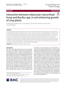 Interaction Between Arbuscular Mycorrhizal Fungi and Bacillus Spp