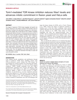 Torin1-Mediated TOR Kinase Inhibition Reduces Wee1 Levels And