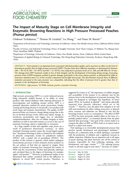 The Impact of Maturity Stage on Cell Membrane Integrity