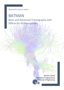 BATMAN Basic and Advanced Tractography with Mrtrix for All Neurophiles