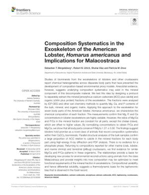 Composition Systematics in the Exoskeleton of the American Lobster, Homarus Americanus and Implications for Malacostraca
