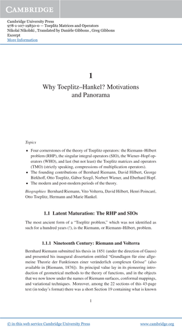 Why Toeplitz–Hankel? Motivations and Panorama