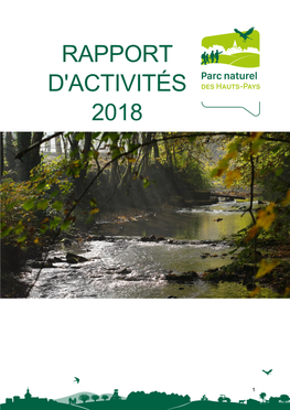 Rapport D'activités 2018