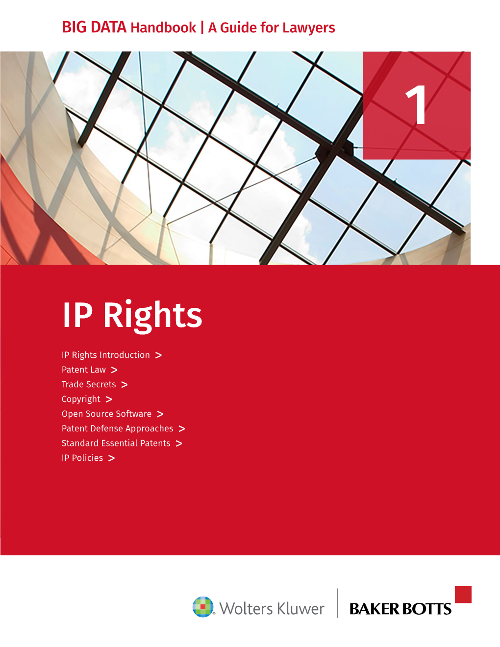 BIG DATA Handbook | Chapter 1 — IP Rights