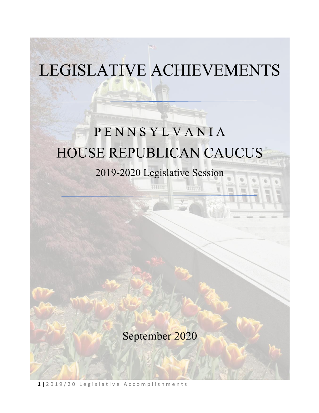 Legislative Achievements